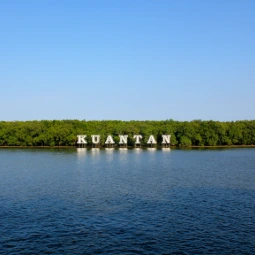 Fireflies and Kuala Selangor Day Tour from Kula Lumpur